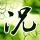 我是谁